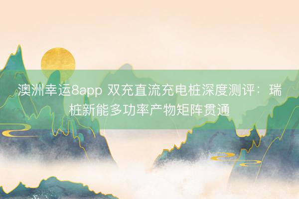 澳洲幸運8app 雙充直流充電樁深度測評：瑞樁新能多功率產(chǎn)物矩陣貫通