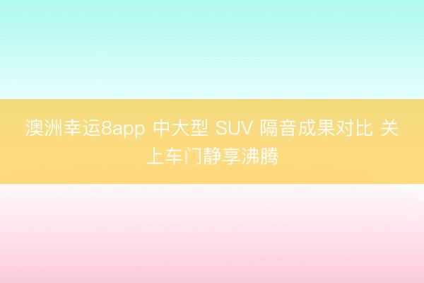 澳洲幸運(yùn)8app 中大型 SUV 隔音成果對比 關(guān)上車門靜享沸騰