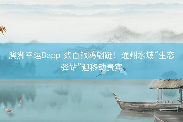 澳洲幸運8app 數百銀鷗翩躚！通州水域“生態驛站”迎移動貴賓