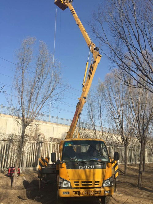 平谷區(qū) 升降機出租 租賃