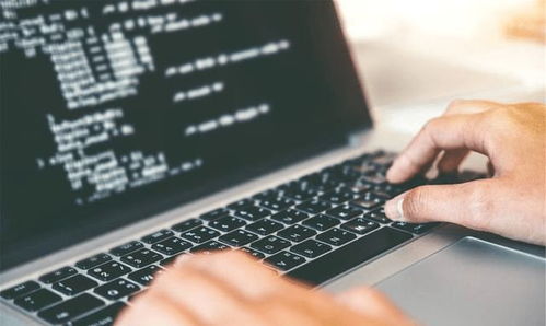 重點(diǎn)大學(xué)計(jì)算機(jī)專業(yè)學(xué)生，考研還是就業(yè)？